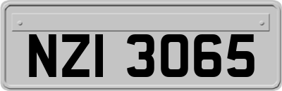 NZI3065