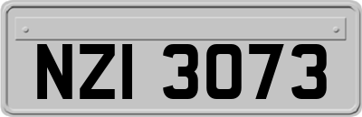 NZI3073