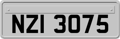 NZI3075