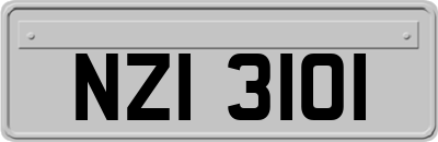 NZI3101