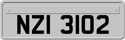 NZI3102