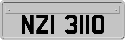 NZI3110