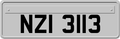 NZI3113