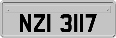 NZI3117