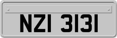 NZI3131