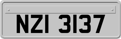 NZI3137