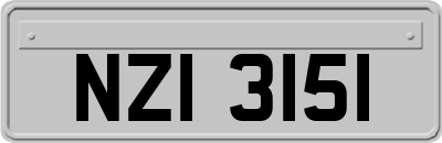 NZI3151