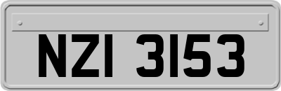 NZI3153