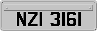 NZI3161