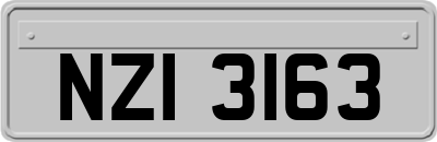 NZI3163