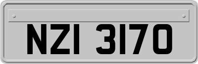NZI3170