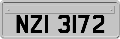NZI3172