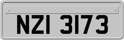 NZI3173