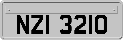 NZI3210