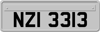 NZI3313