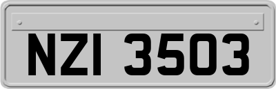 NZI3503