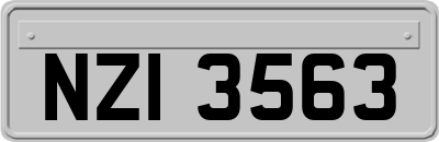 NZI3563