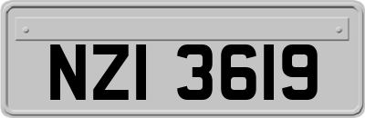 NZI3619