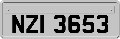 NZI3653