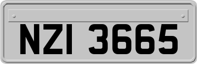 NZI3665