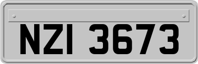 NZI3673