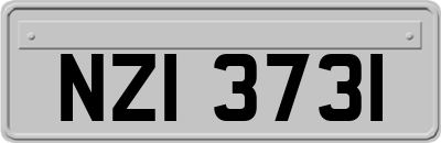 NZI3731