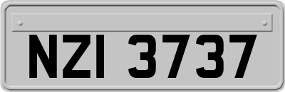 NZI3737