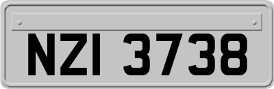 NZI3738