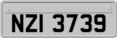 NZI3739