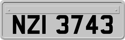 NZI3743