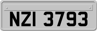 NZI3793