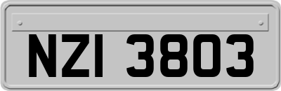 NZI3803