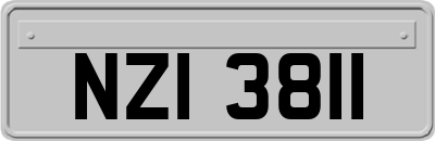 NZI3811