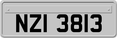NZI3813