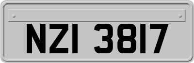 NZI3817