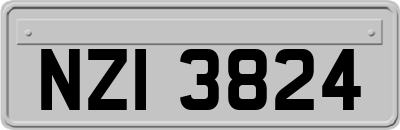NZI3824
