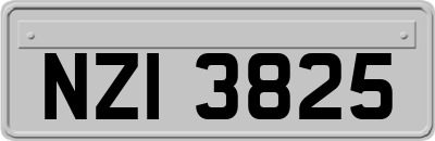 NZI3825