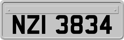 NZI3834