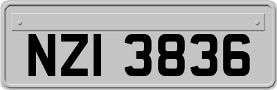 NZI3836