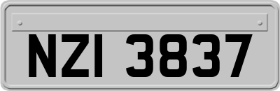 NZI3837