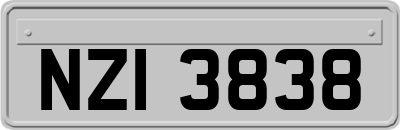 NZI3838