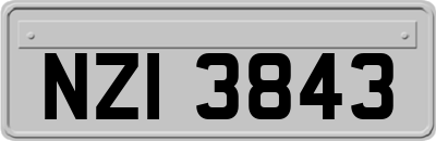 NZI3843