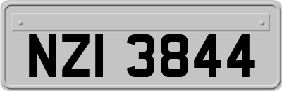 NZI3844
