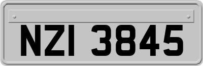 NZI3845