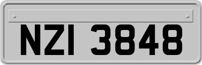 NZI3848