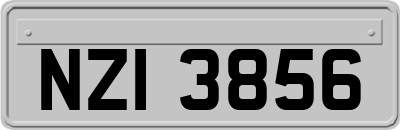 NZI3856