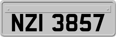 NZI3857