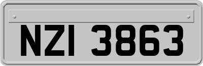 NZI3863