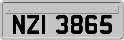 NZI3865