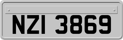 NZI3869